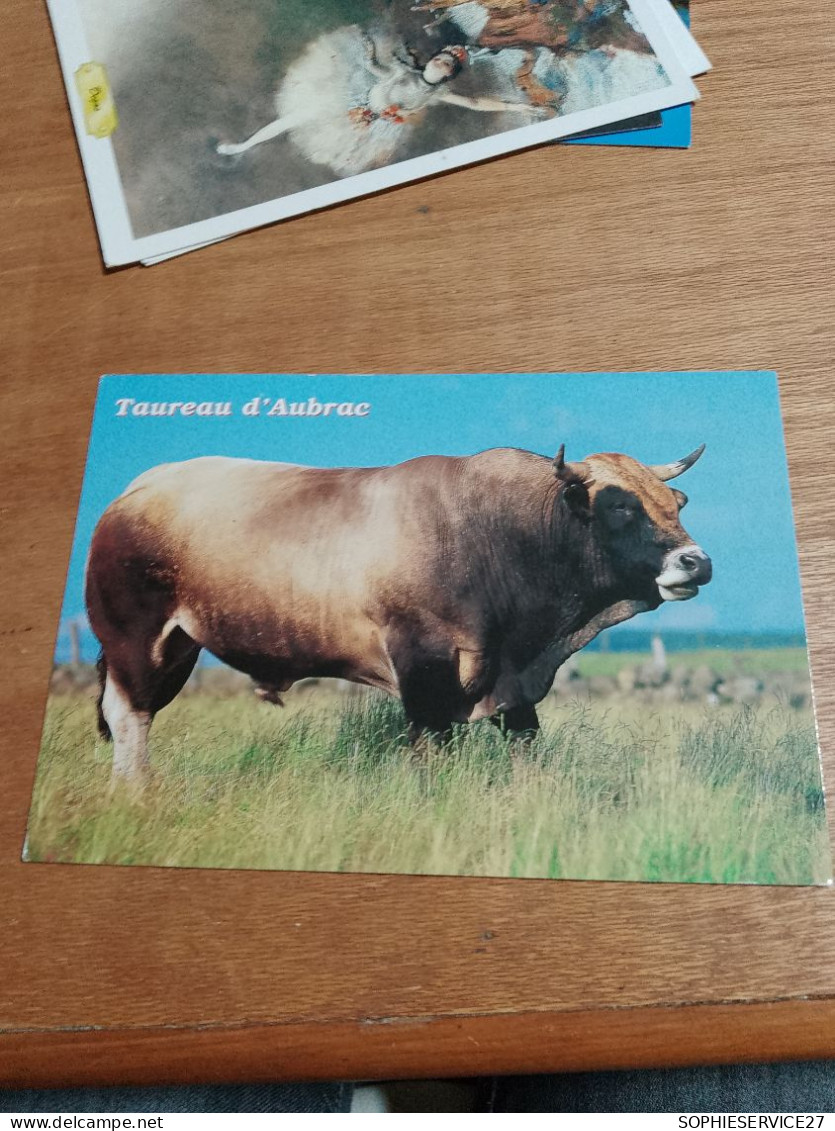 545 //  TAUREAU D'AUBRAC - Toros