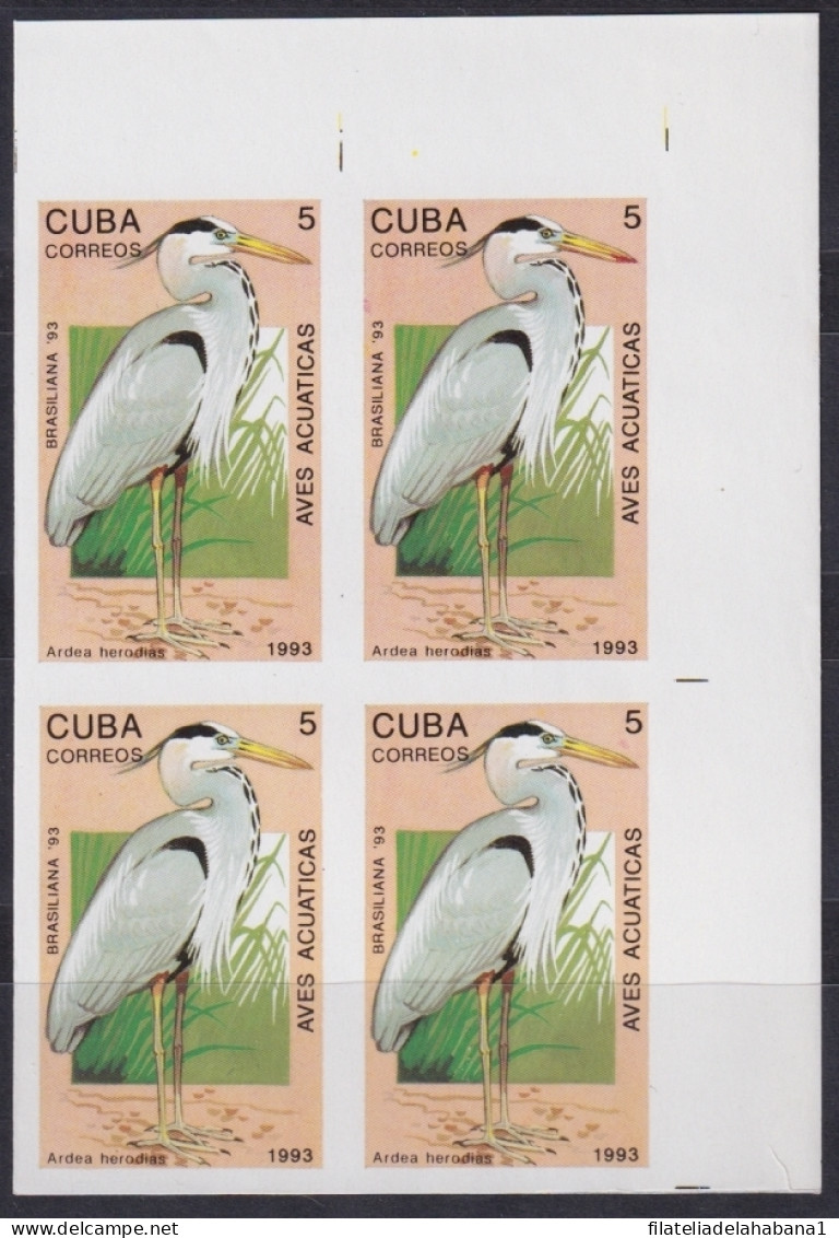 1993.187 CUBA 1993 5c WATER BIRD AVES PAJAROS IMPERFORATED PROOF BLOCK 4.  - Non Dentellati, Prove E Varietà