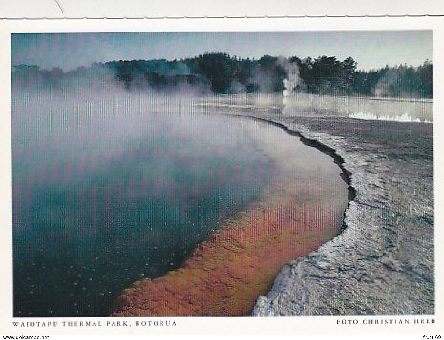 AK 206703 NEW ZEALAND - Waiotapu Thermal Park - Rotorua - Nouvelle-Zélande