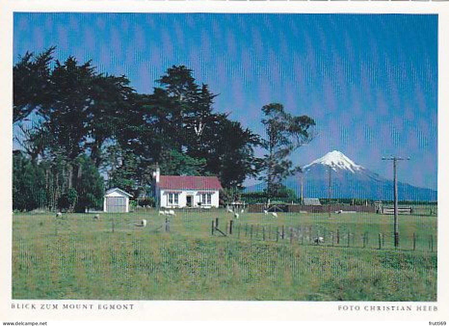 AK 206709 NEW ZEALAND - Blick Zum Mount Egmont - Nouvelle-Zélande