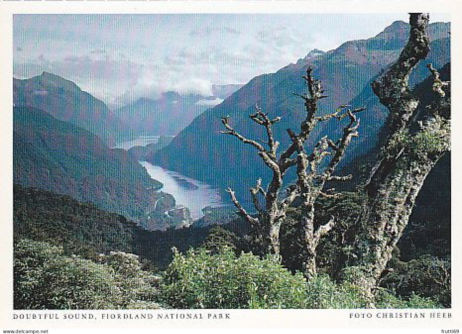 AK 206712 NEW ZEALAND - Doubtful Sound - Fiordland National Park - Nouvelle-Zélande