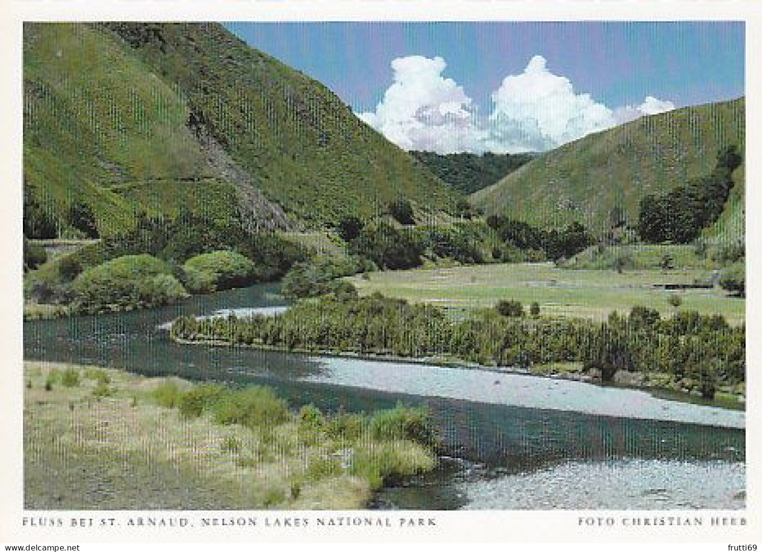 AK 206721 NEW ZEALAND - Fluss Bei St. Arnaud - Nelson Lakes National Park - Nouvelle-Zélande