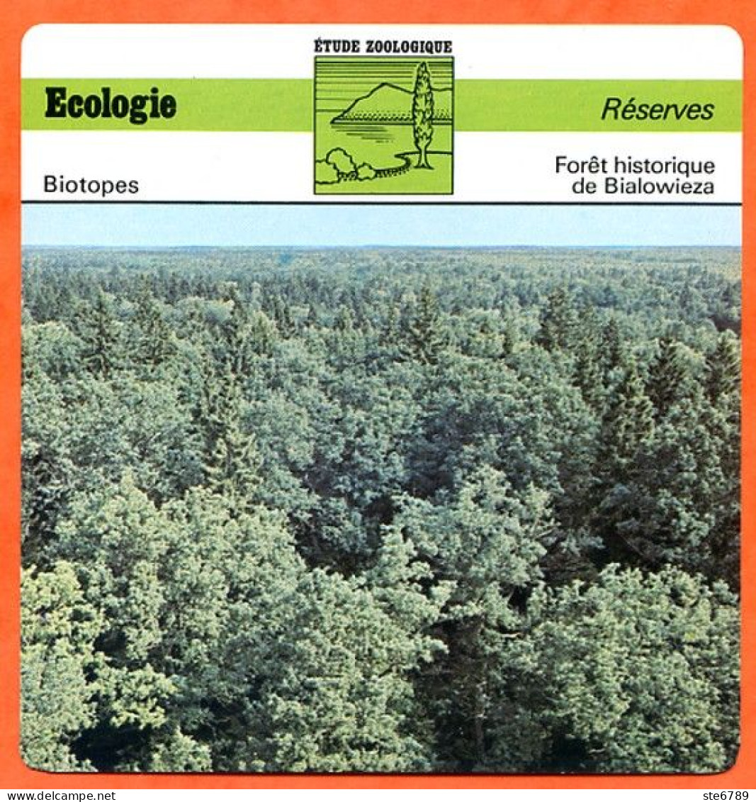 Fiche Ecologie Foret Historique De Bialowieza Réserves  Etude Zoologique Biotopes - Aardrijkskunde