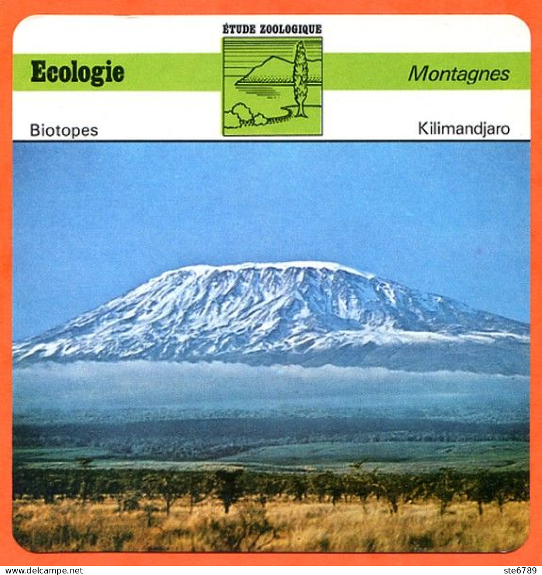 Fiche Ecologie Kilimandjaro  Montagnes Etude Zoologique Biotopes - Aardrijkskunde