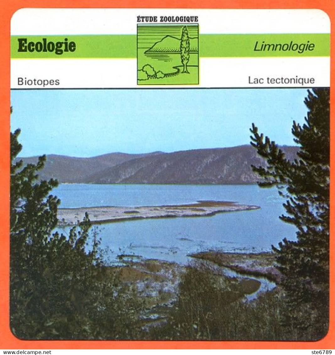 Fiche Ecologie Lac Tectonique Illustration Lac Baïkal Limnologie  Etude Zoologique Biotopes - Aardrijkskunde