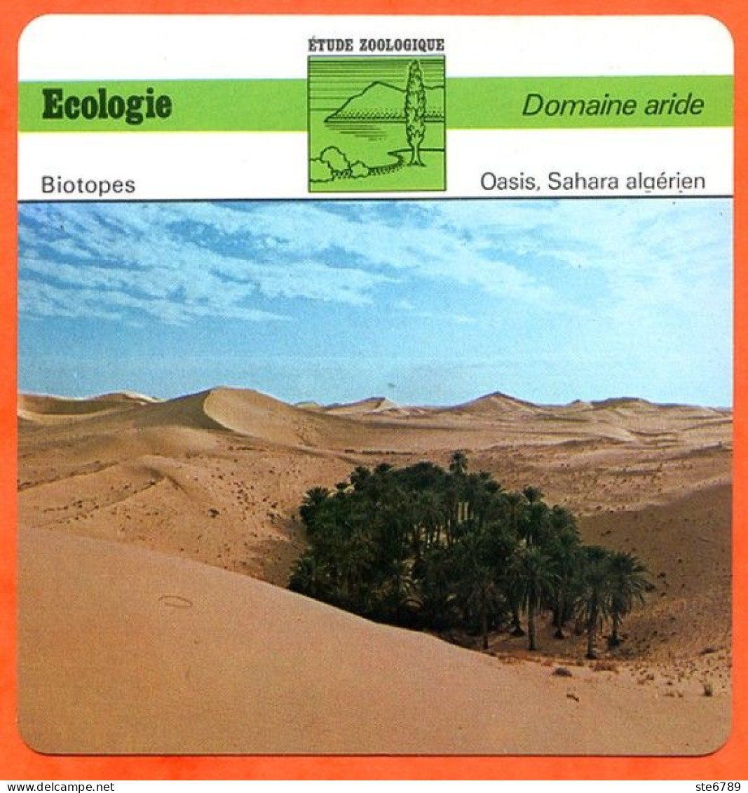 Fiche Ecologie Oasis Sahara Algérien  Illustration Oasis  Domaine Aride Etude Zoologique Biotopes - Aardrijkskunde