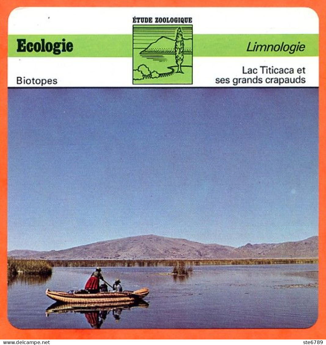 Fiche Ecologie Lac Titicaca Et Ses Grands Crapauds Limnologie Etude Zoologique Biotopes - Aardrijkskunde