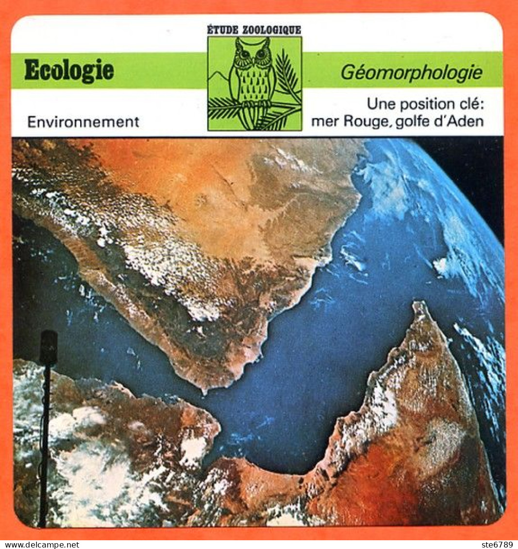 Fiche Ecologie Mer Rouge Golfe D'Aden  Illustration Mer Rouge Golfe Aden  Géomorphologie Etude Zoologique - Aardrijkskunde