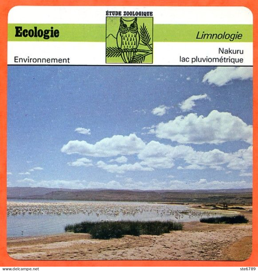 Fiche Ecologie Nakuru Lac Pluviométrique Illustration Lac Nakuru Kenya Limnologie Etude Zoologique - Aardrijkskunde