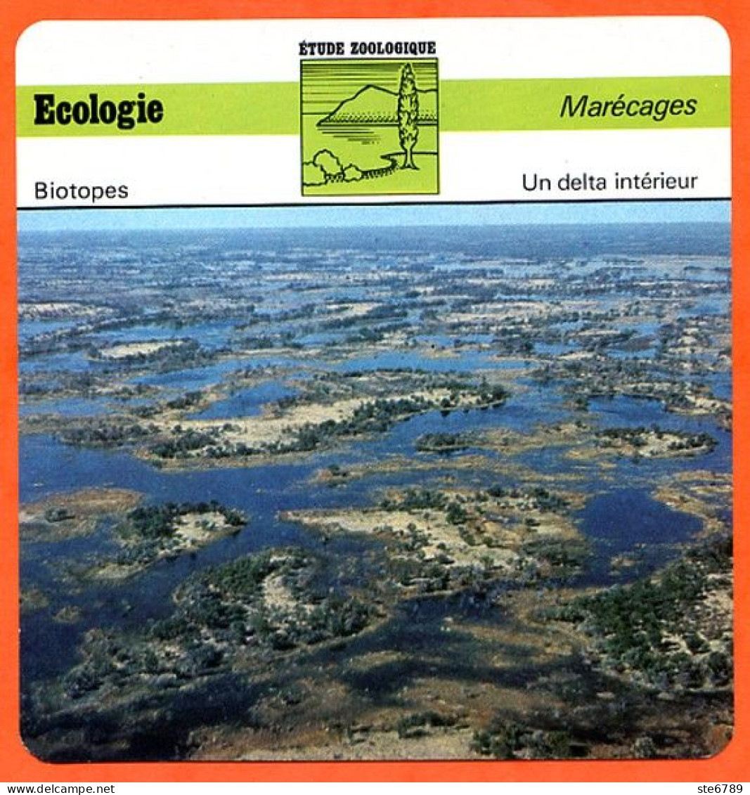 Fiche Ecologie Un Delta Intérieur Illustration Marais Okawango Marécages Etude Zoologique Biotopes - Géographie