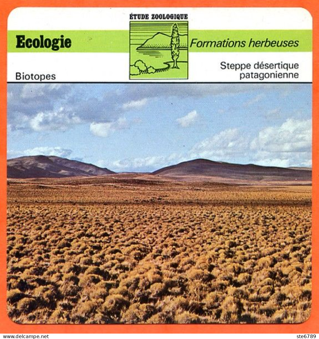 Fiche Ecologie Steppe Désertique Patagonienne Formations Herbeuses  Etude Zoologique Biotopes - Géographie