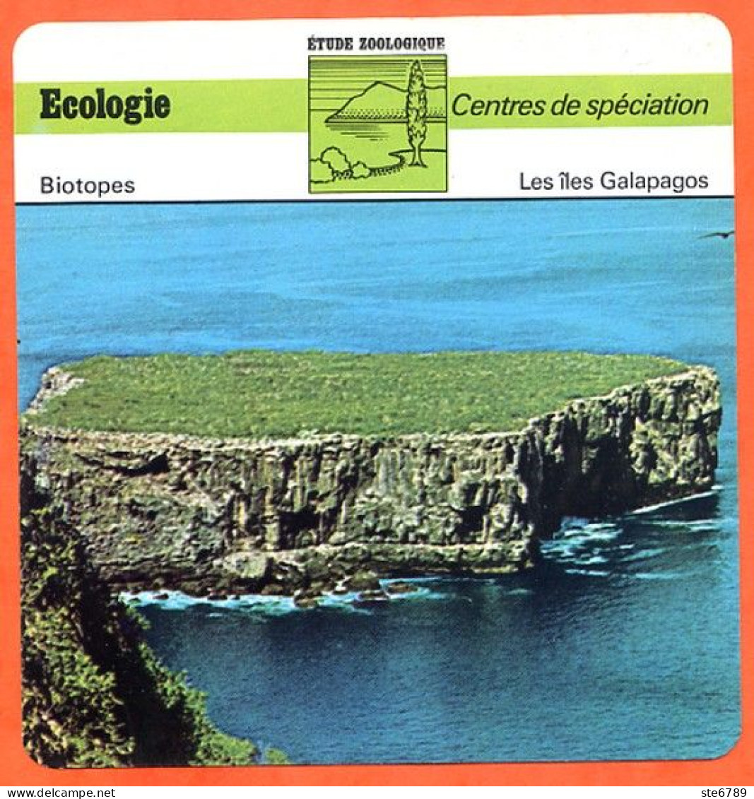 Les Iles Galapagos  Illustration Vue Centres De Spéciation  Etude Zoologique Biotopes Fiche Ecologie - Aardrijkskunde