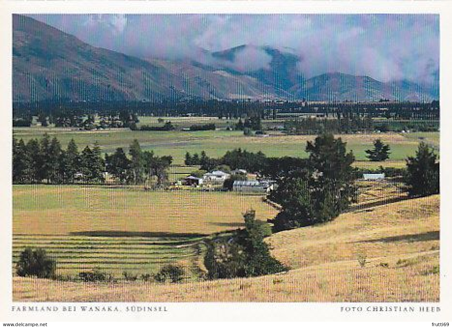 AK 206725 NEW ZEALAND - Farmland Bei Wanaka - Südinsel - Nouvelle-Zélande