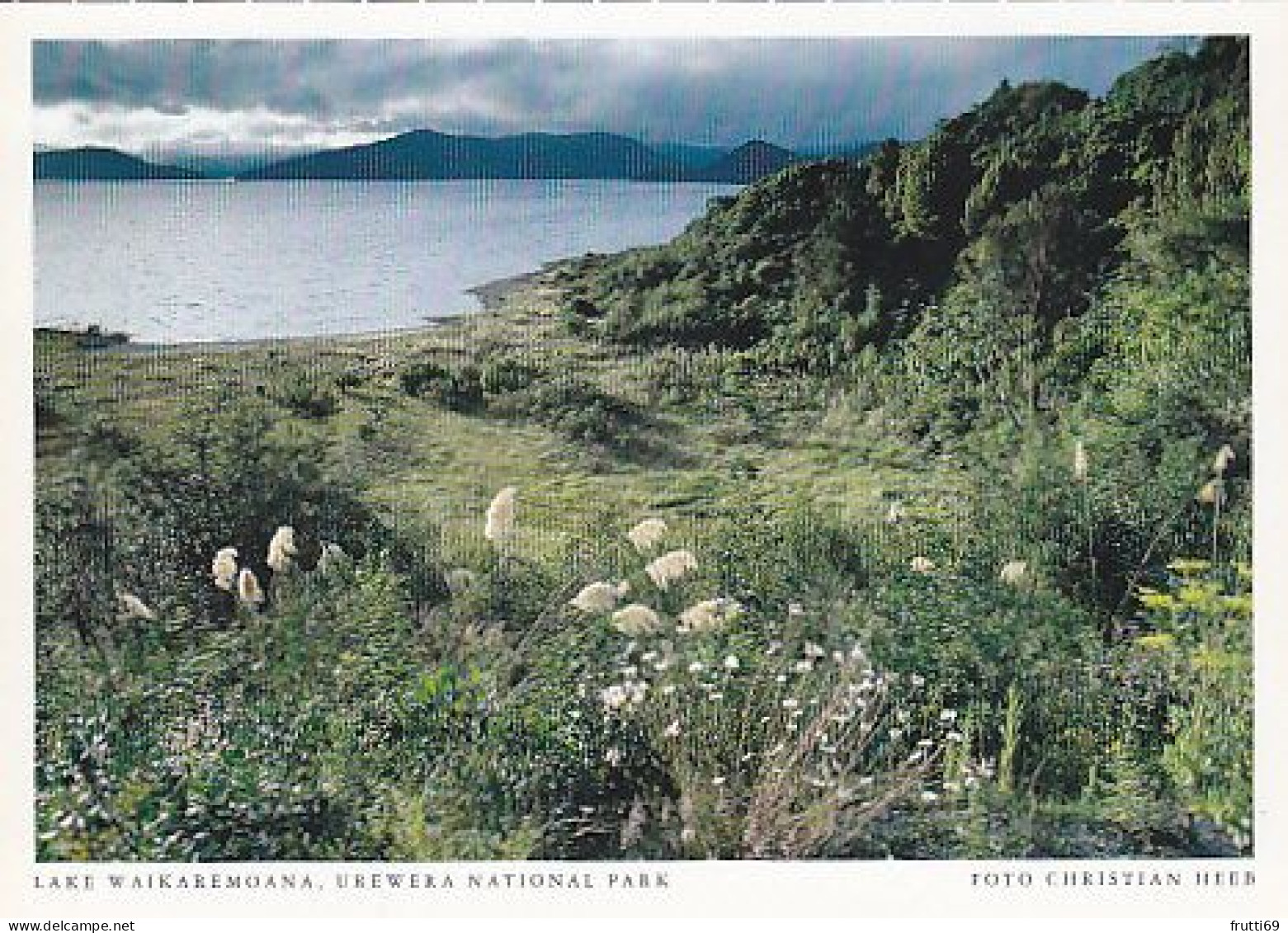 AK 206729 NEW ZEALAND - Lake Waikaremoana - Urewera National Park - Nouvelle-Zélande