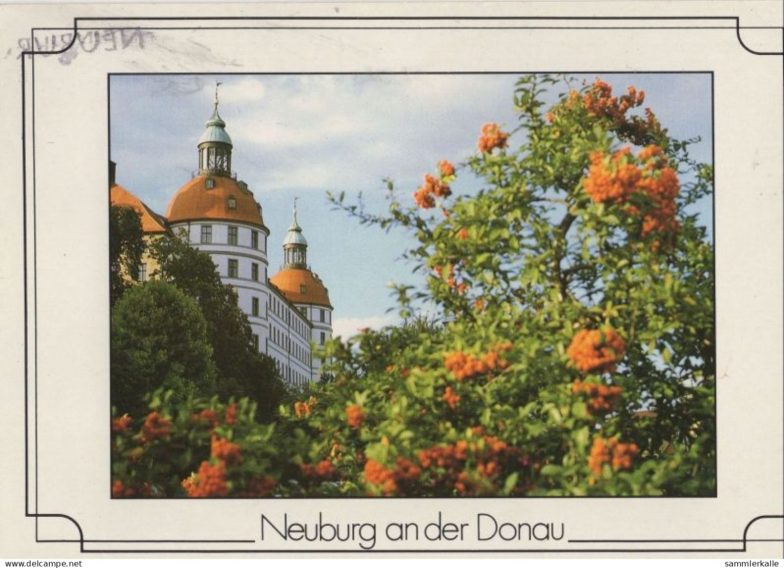 132276 - Neuburg, Donau - Blüten - Neuburg