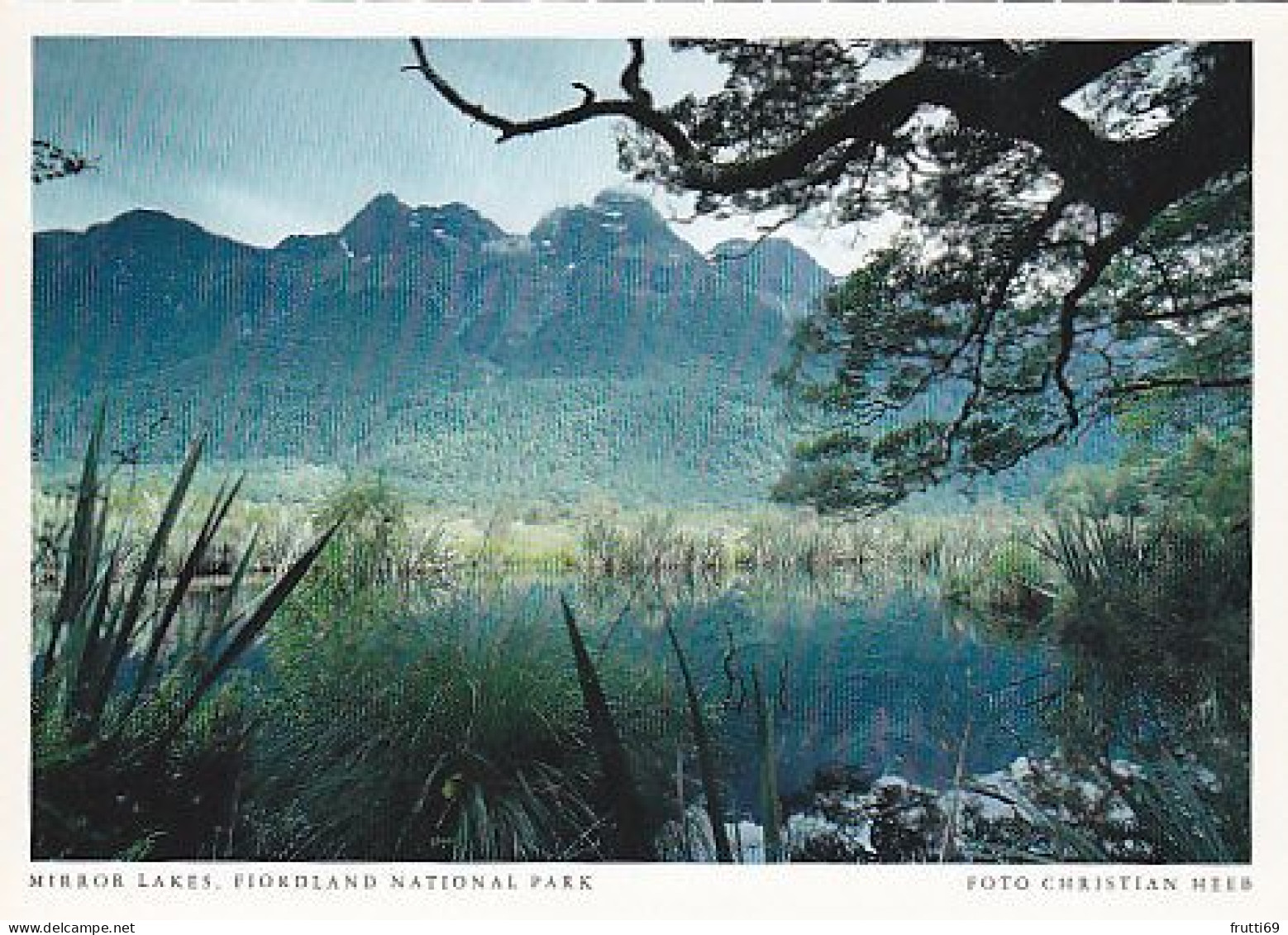 AK 206734 NEW ZEALAND - Mirror Lakes - Fiordland National Park - Nouvelle-Zélande