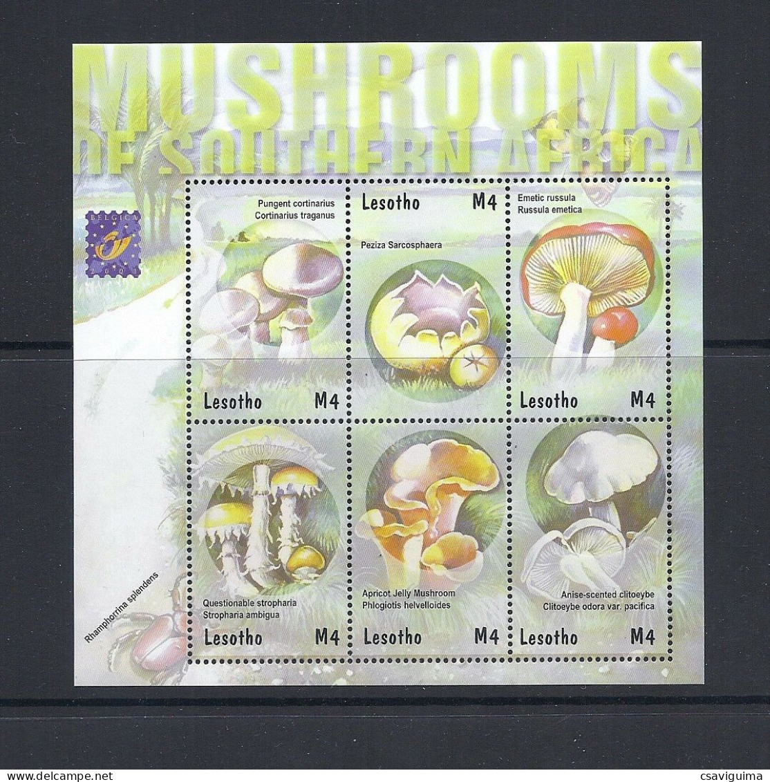 Lesotho - 2001 - Mushrooms - Yv 1725/30 - Funghi