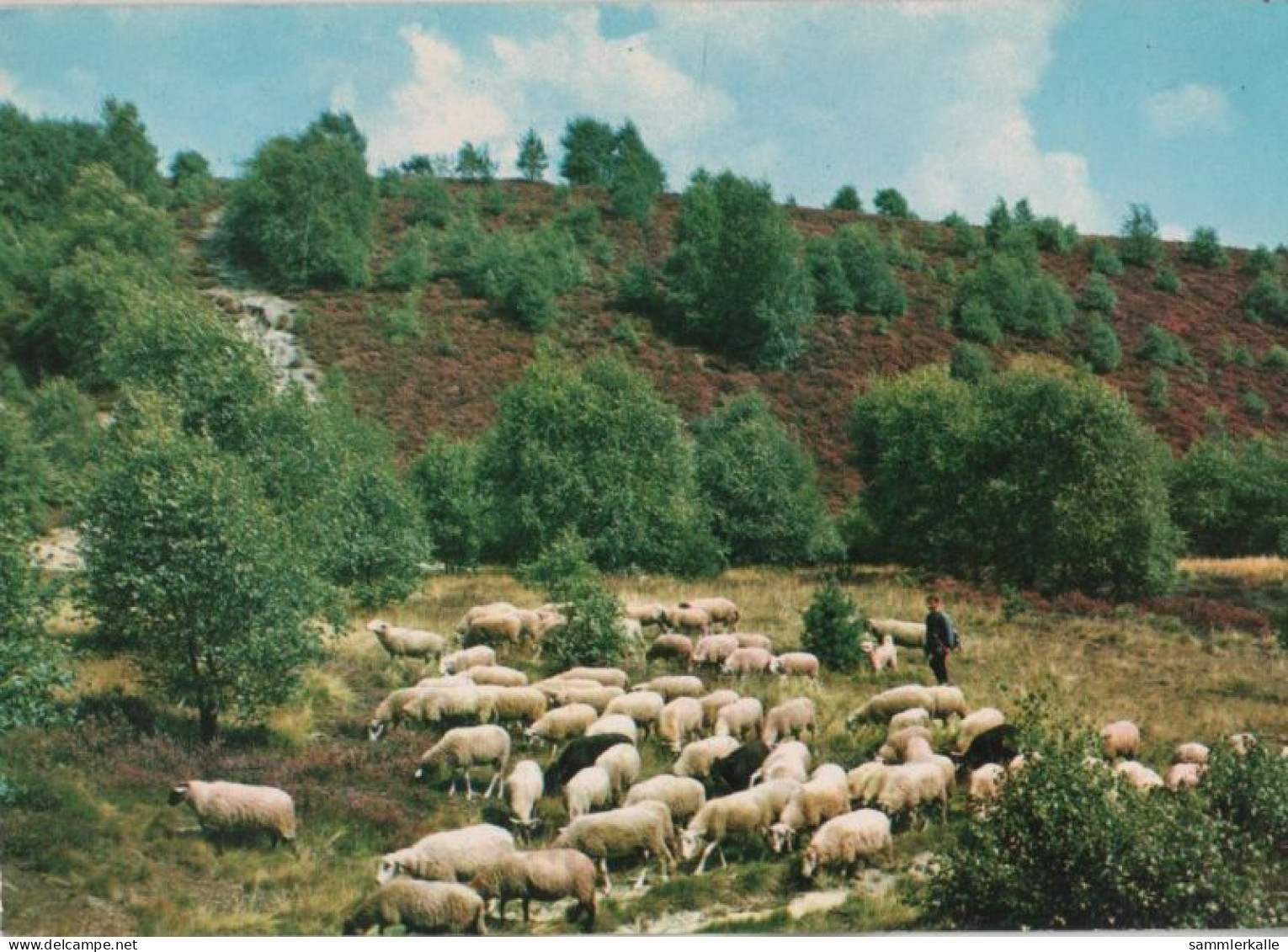 91393 - Niederlande - Emmen - 1975 - Emmen