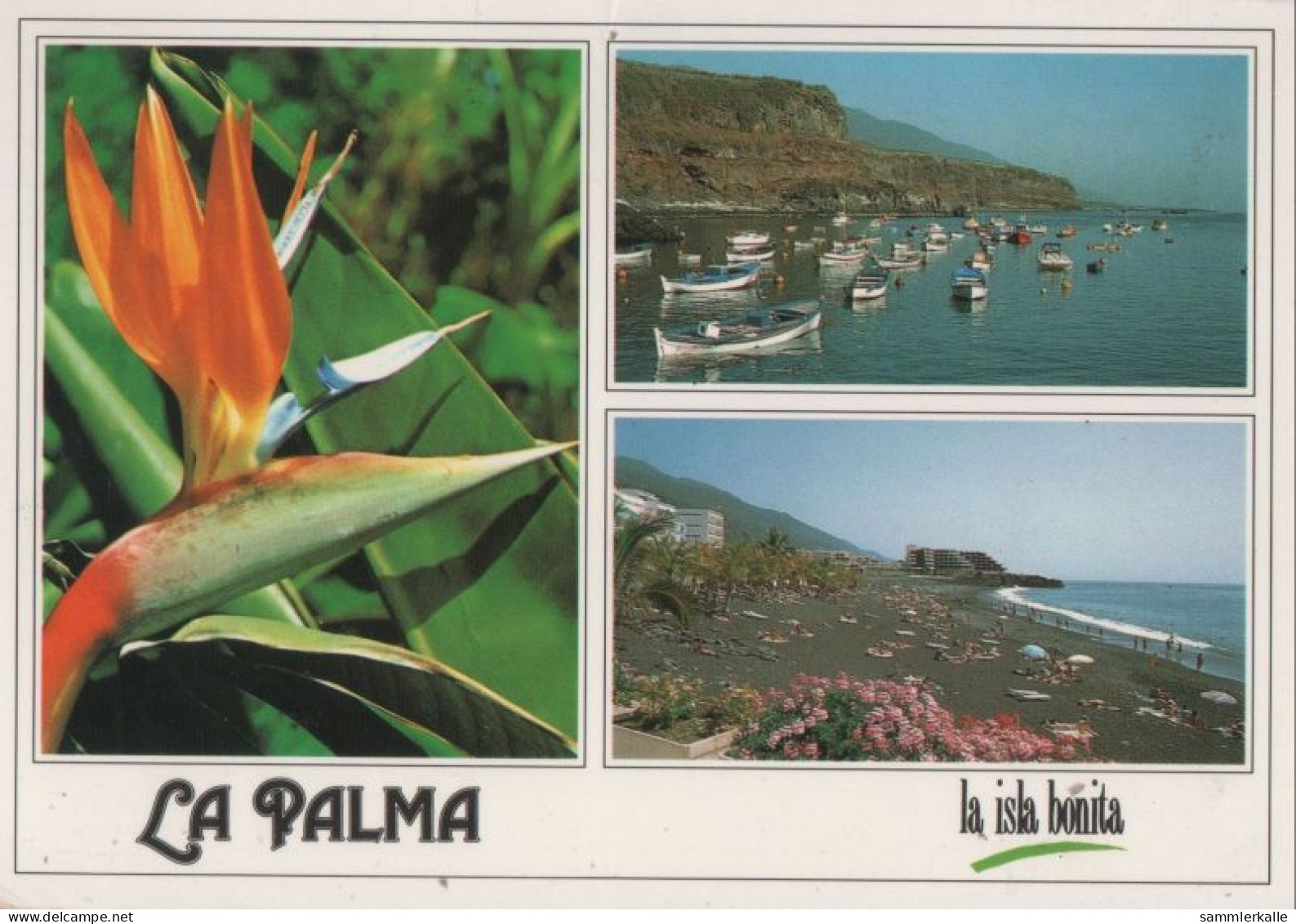 121172 - La Palma - Spanien - 3 Bilder - La Palma