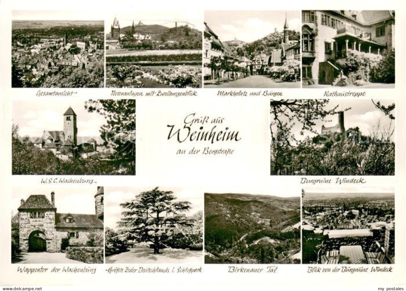 73775594 Weinheim Bergstrasse Panorama Marktplatz Burgen Rathaustreppe WSC Wache - Weinheim