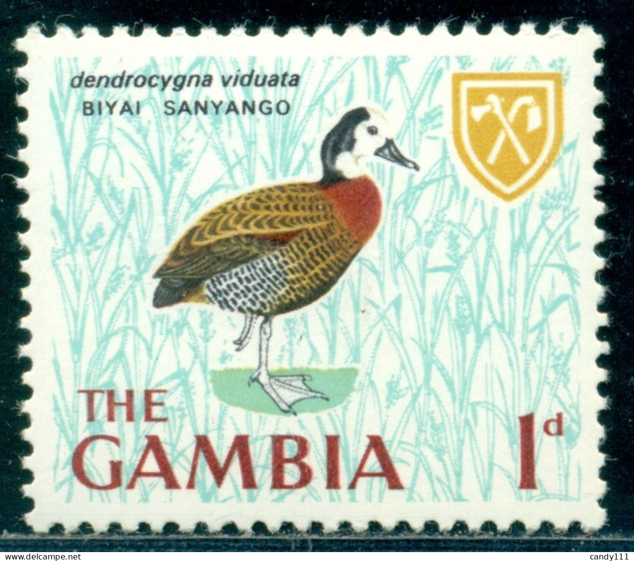 1966 Birds,The White-faced Whistling Duck (Dendrocygna Viduata),Gambia,211,MNH - Anatre