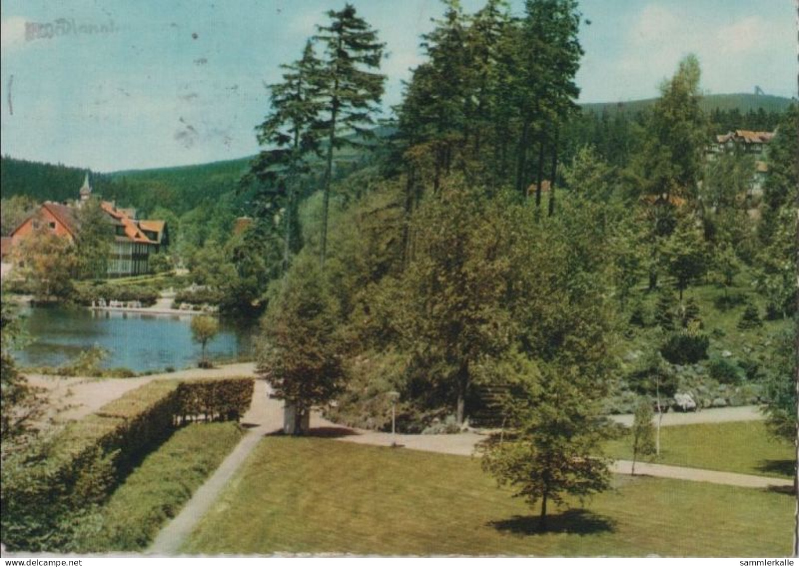 74192 - Braunlage - Kurpark Mit Blick Auf Gondelteich - 1964 - Braunlage