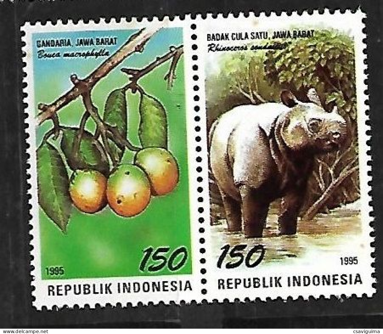 Indonesia (Indonesie) - 1995 - Rhinoceros, Fruit - Yv 1423/24 - Neushoorn