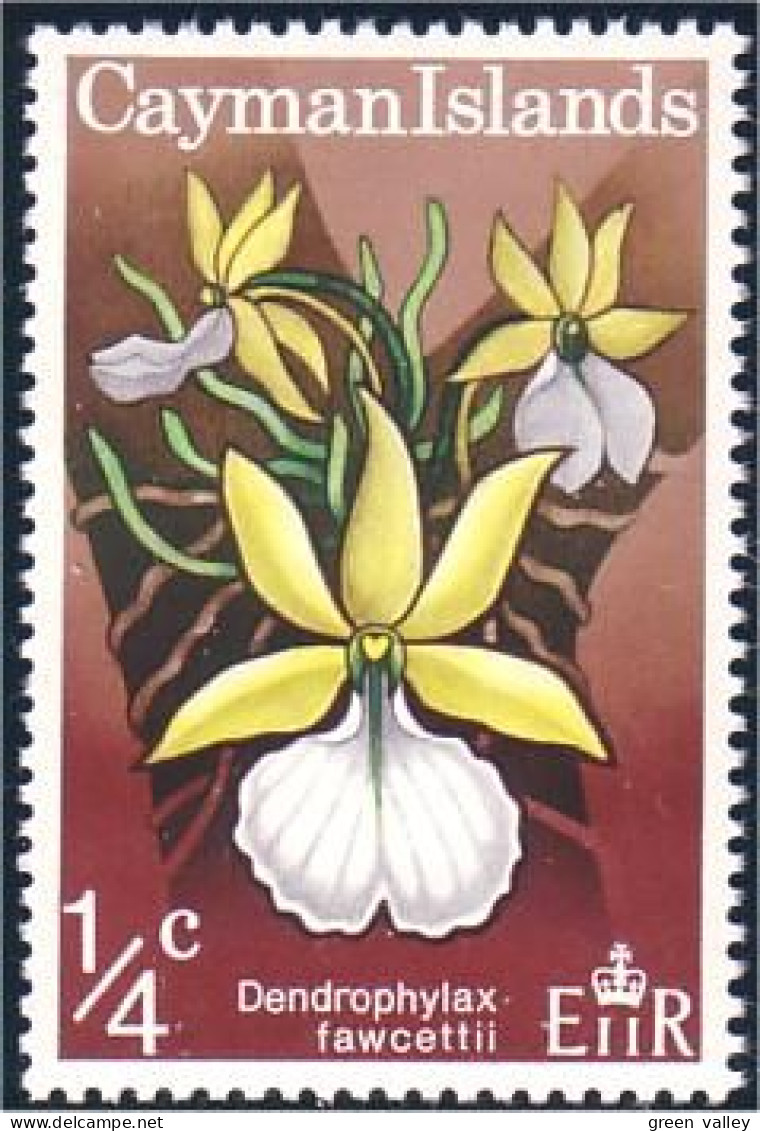 242 Cayman Orchid Orchidee MNH ** Neuf SC (CAY-30a) - Cayman (Isole)