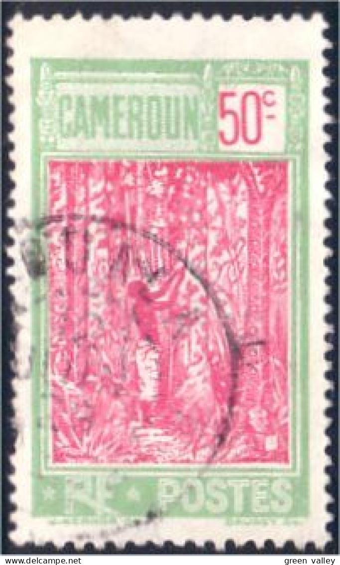 236 Cameroun Arbre Caoutchouc Rubber Tree DOUALA (CAM-63) - Oblitérés