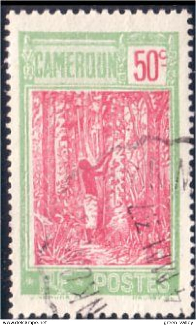 236 Cameroun Arbre Caoutchouc Rubber Tree NKONGSAMBA (CAM-56) - Used Stamps