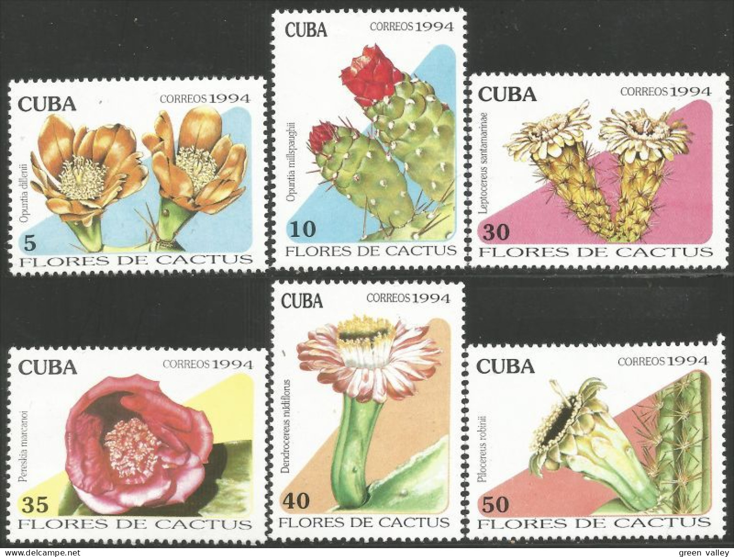 284 Cuba Fleur Cactus Cactii Flower MNH ** Neuf SC (CUB-67a) - Usados