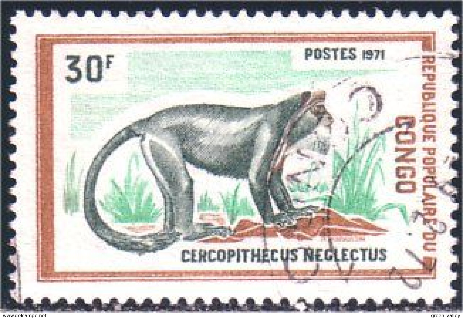 272 Congo Affe Scimmia Singe De Brazza Monkey Mono (CGO-18) - Used