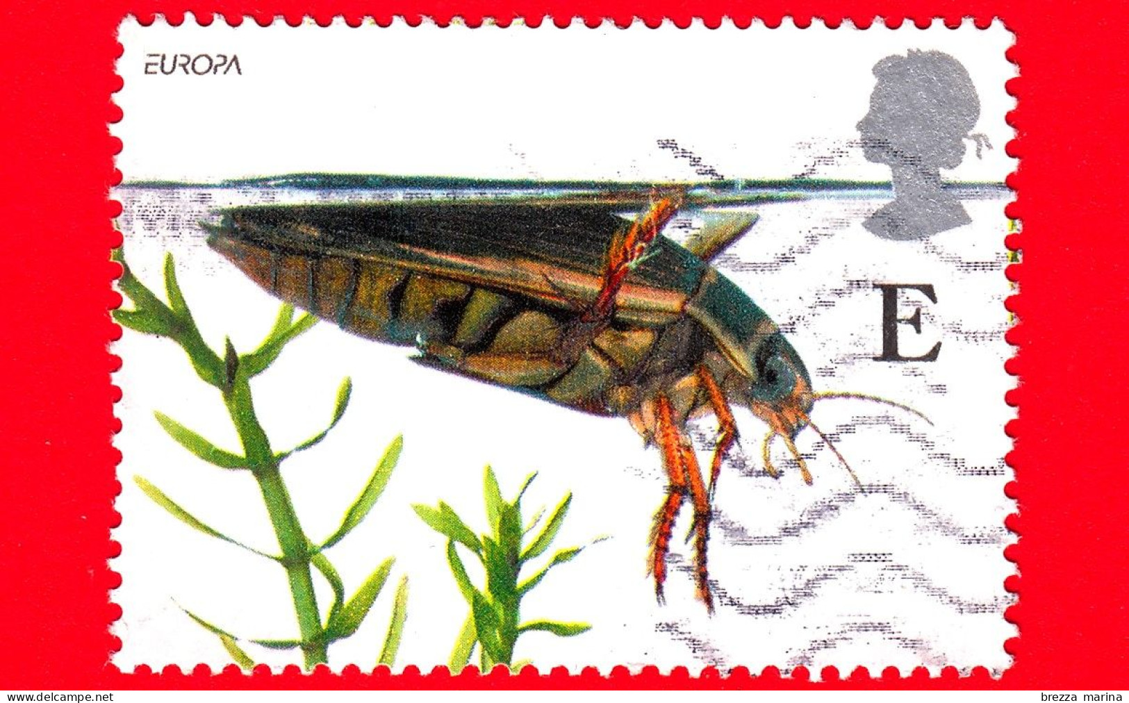 INGHILTERRA - GB - GRAN BRETAGNA - 2001 - Europa - Vita Da Stagno - Great Diving Beetle - E - Gebraucht