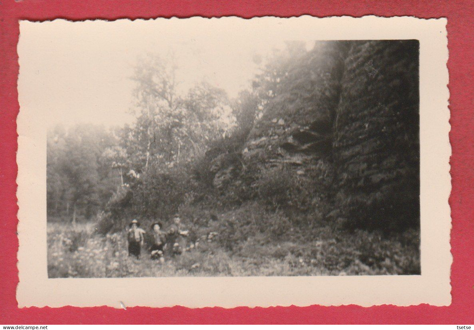 Cul-des-Sarts - Photo Camp Scouts - Visite à La Roche De L'Ermite - 1948 / 9 Cm Sur 6 Cm - Cul-des-Sarts