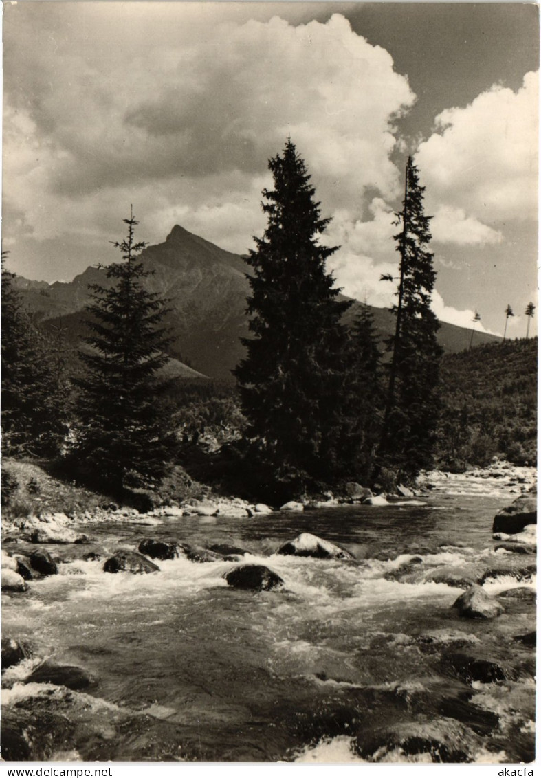 CPM AK CZECHOSLOVAKIA Vysoké Tatry - Krivan - Z Podbanského (693084) - Slowakei