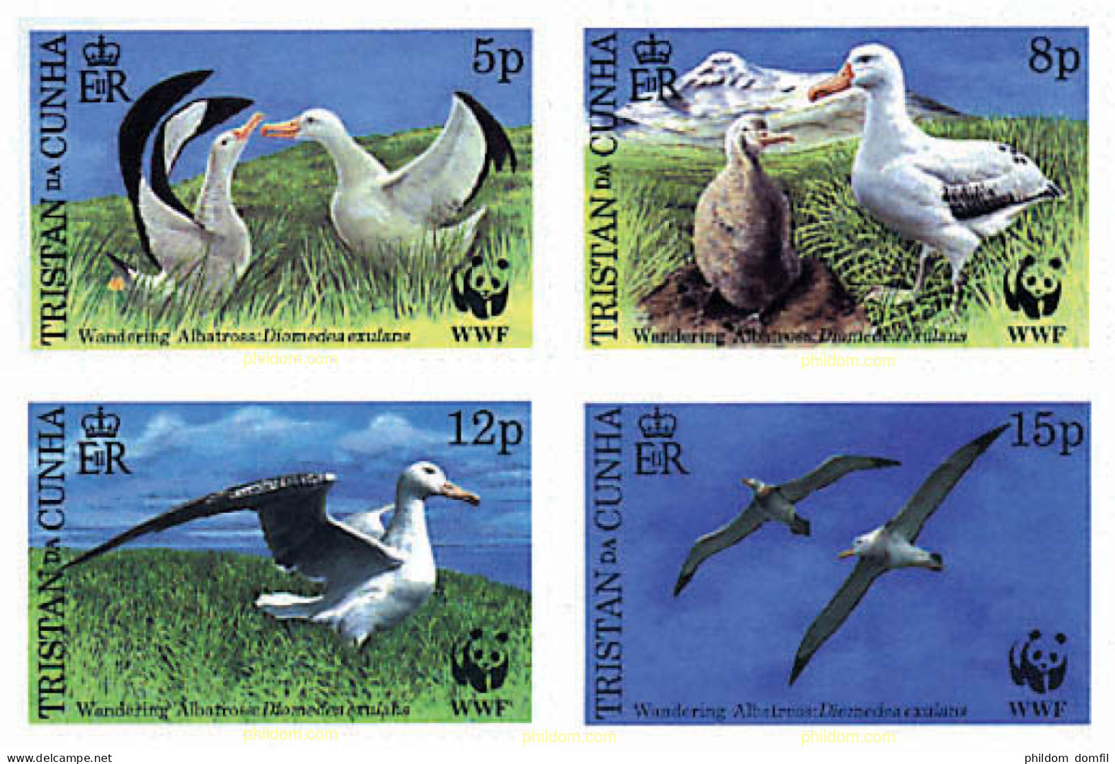 75192 MNH TRISTAN DA CUNHA 1999 ALBATROS ERRANTE - Tristan Da Cunha