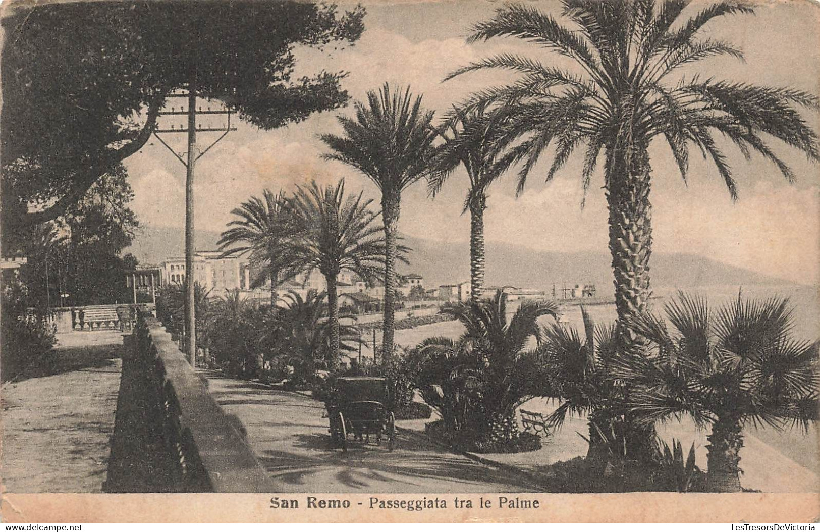 ITALIE - San Remo - Passeggiata Tra Le Palme - Carte Postale Ancienne - San Remo