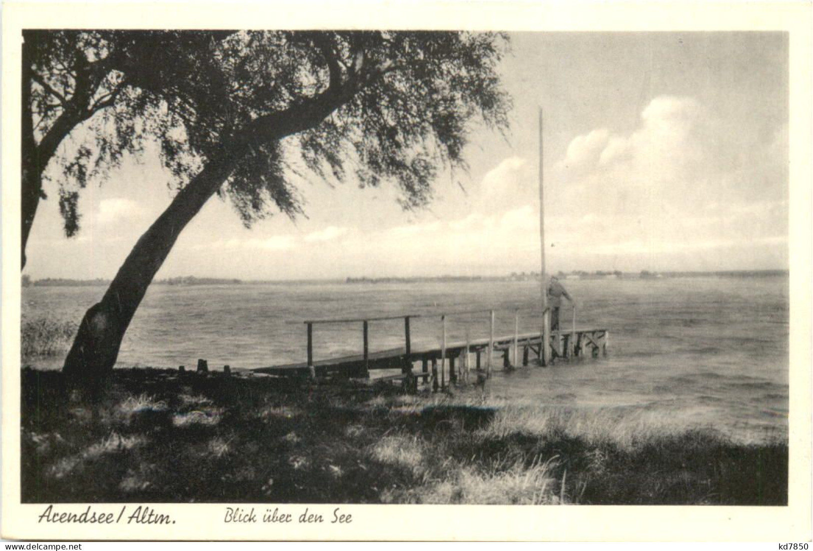 Arendsee In Der Altmark - Blick über Den See - Salzwedel