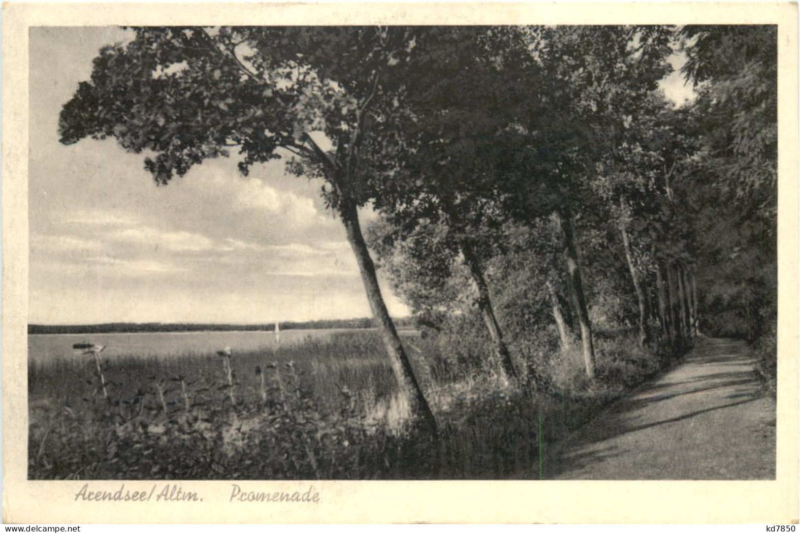 Arendsee In Der Altmark - Promenade - Salzwedel