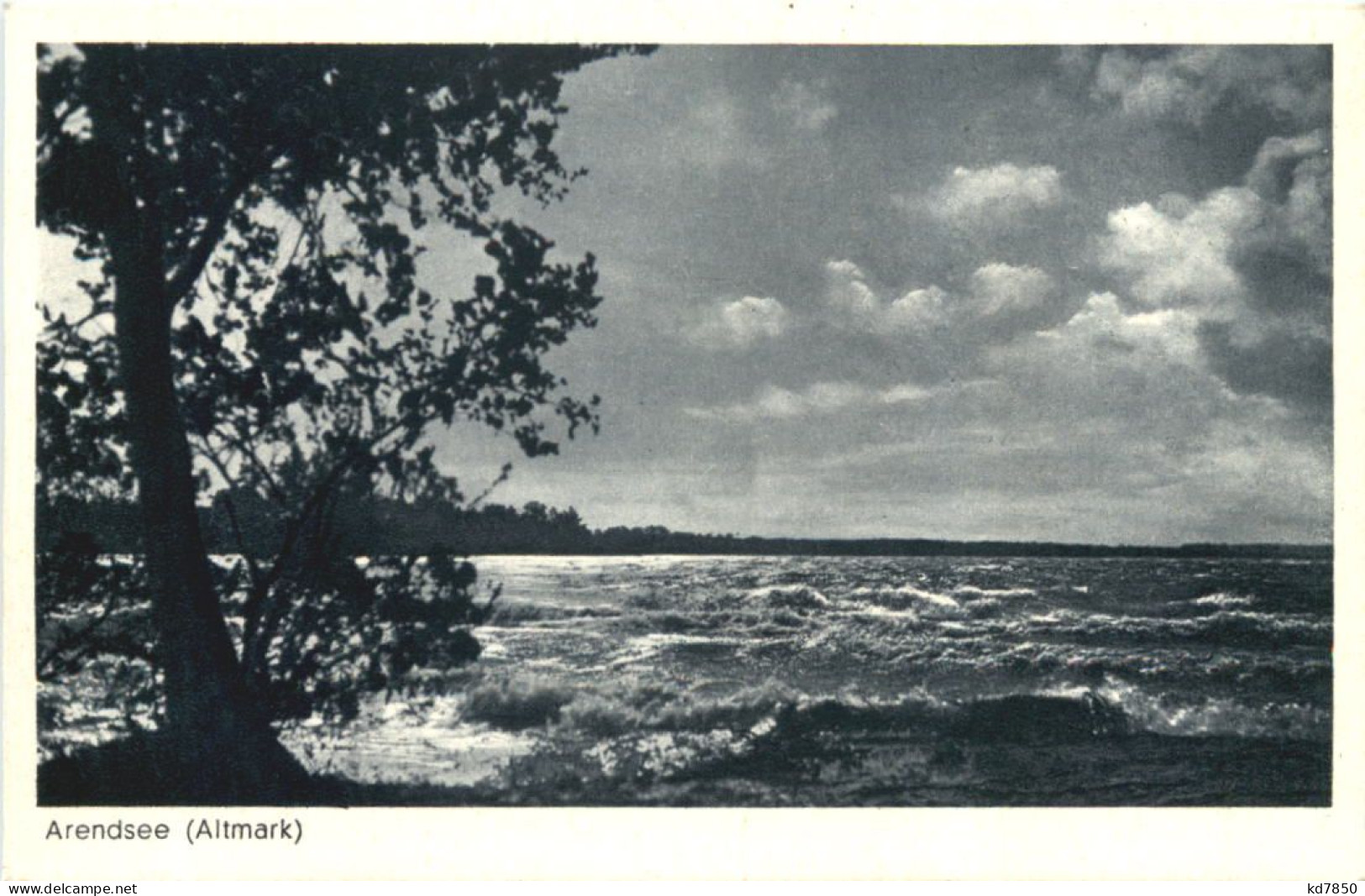 Arendsee In Der Altmark - Salzwedel