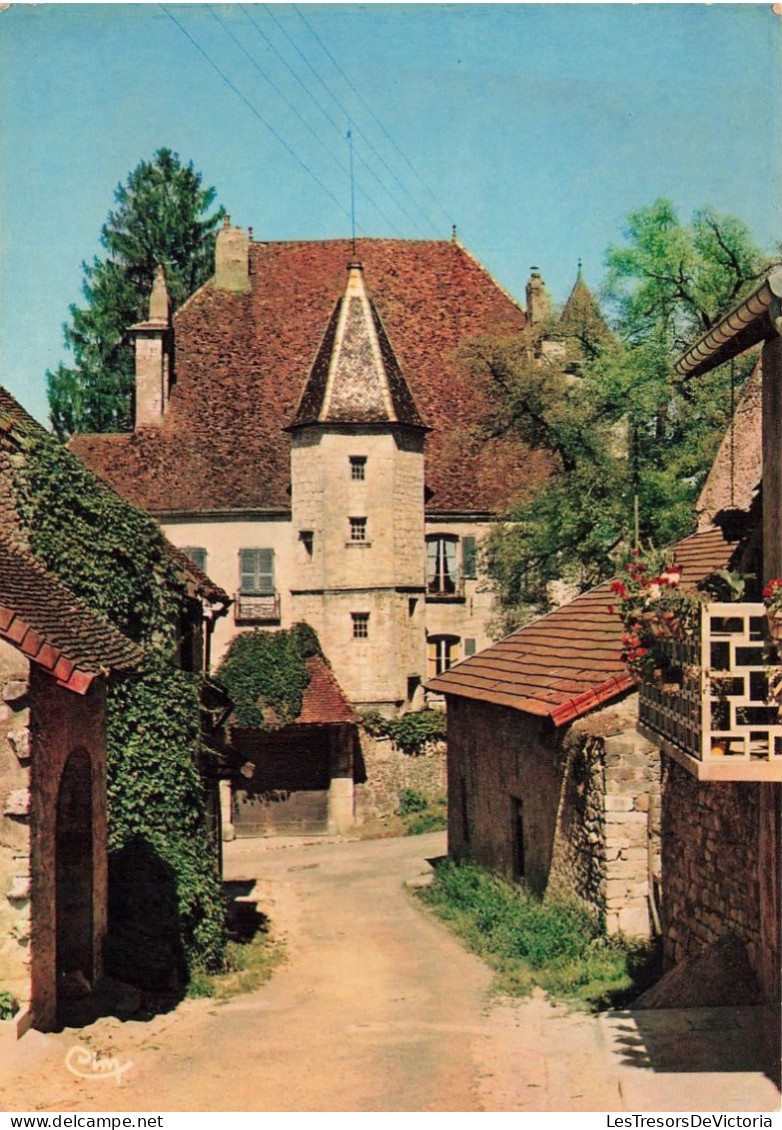 FRANCE - Sellières - Vue Sur Le Château - Colorisé - Carte Postale - Andere & Zonder Classificatie