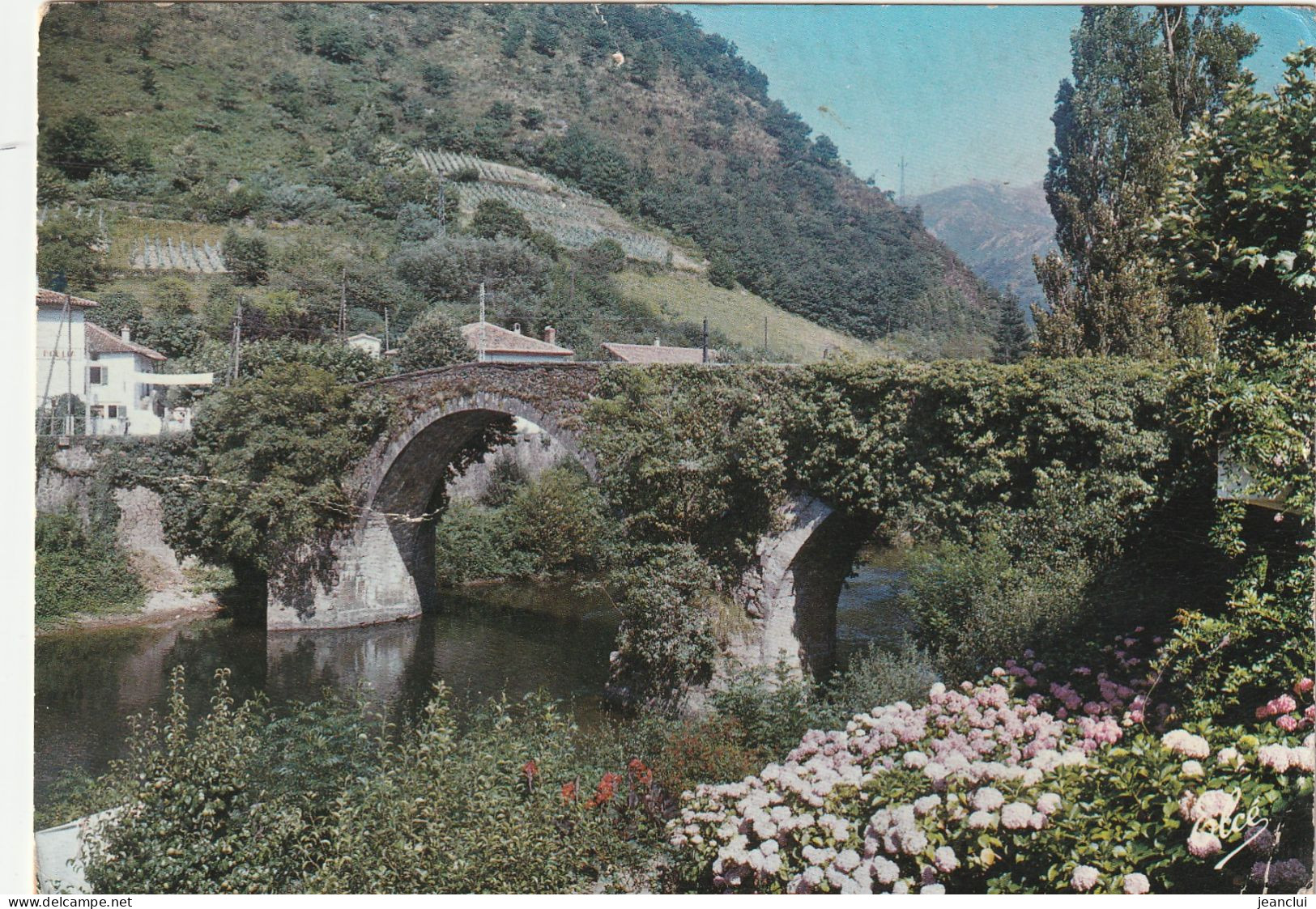 CPM . BIDARRAY . LE VIEUX PONT  .  CARTE AFFR AU VERSO LE 27-7-1966  .  2 SCANNES - Bidarray