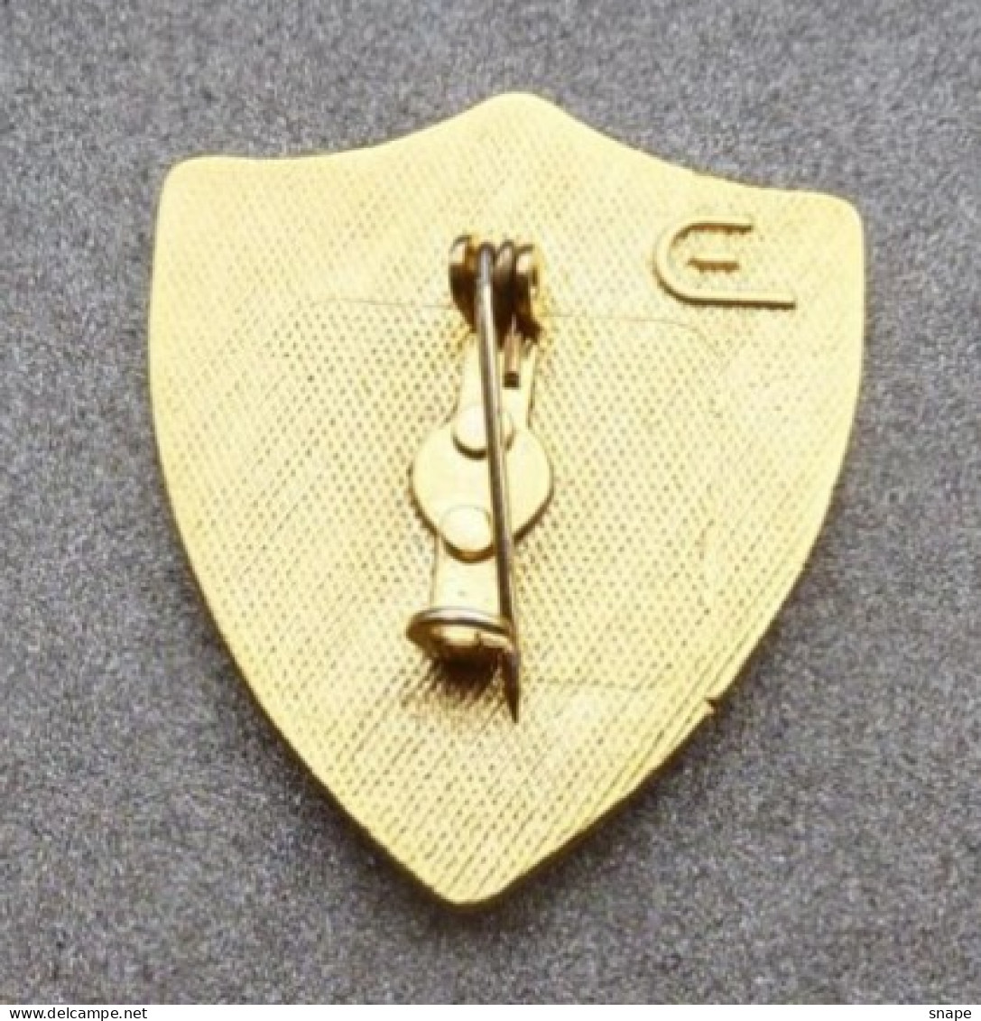 Distintivo Vetrificato - Carabinieri Centro Elicotteri - Usato Obsoleto - Italian Police Carabinieri Insignia (283) - Polizia