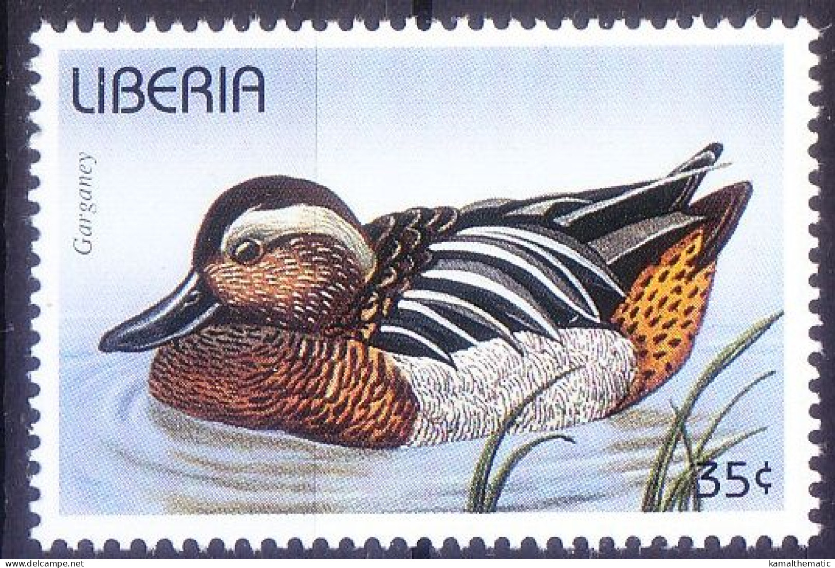 Garganey (Anas Querquedula), Ducks, Water Birds, Liberia 1996 MNH - Patos
