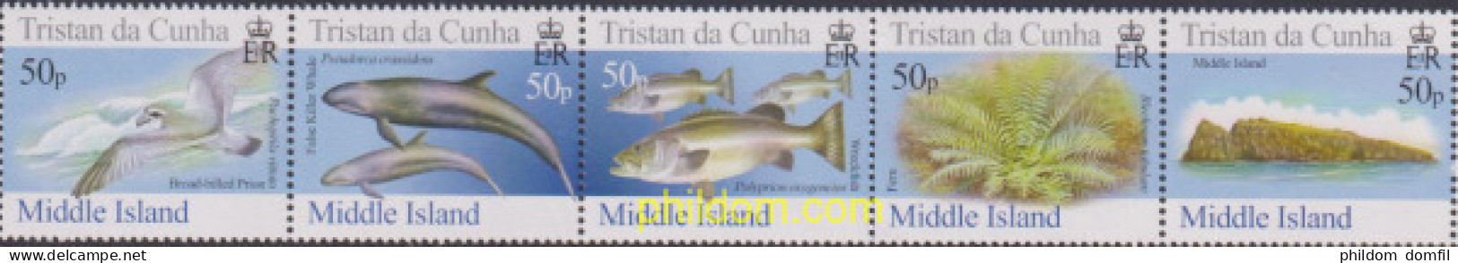 613132 MNH TRISTAN DA CUNHA 2006 FAUNA DE LA ISLA MIDDLE - Tristan Da Cunha