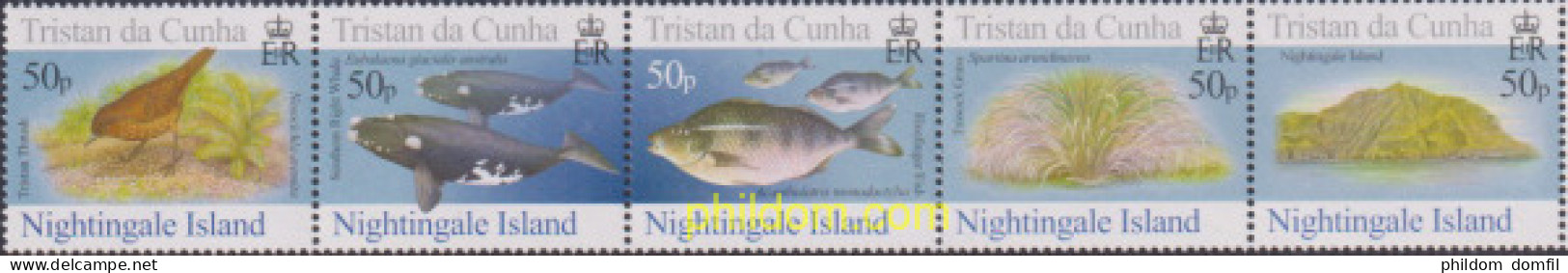 613128 MNH TRISTAN DA CUNHA 2006 FAUNA DE LA ISLA DE NIGHTINGALE - Tristan Da Cunha