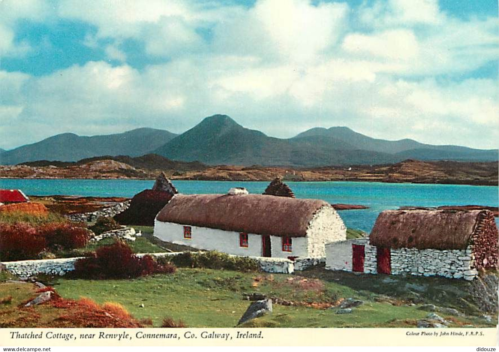 Irlande - Galway - Connemara - Thatched Cottage , Near Renvyle - Carte Neuve - Ireland - CPM - Voir Scans Recto-Verso - Galway