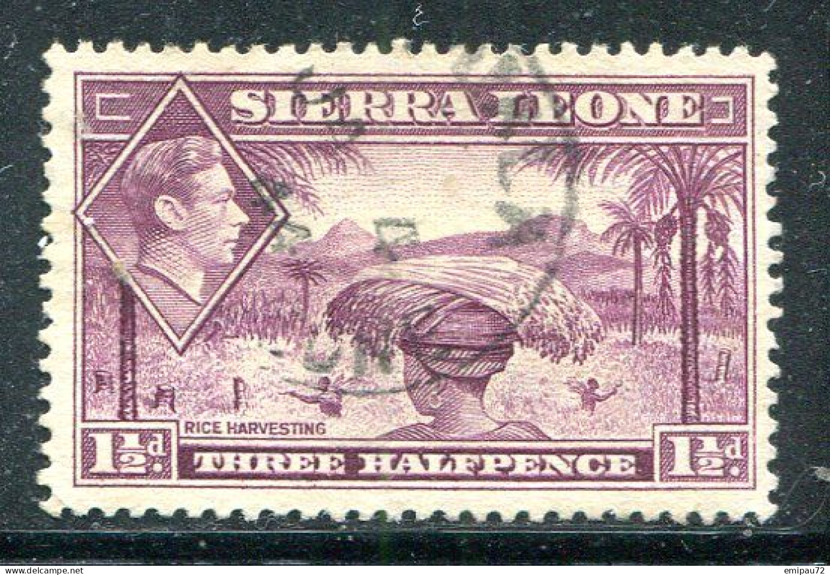 SIERRA LEONE- Y&T N°160A- Oblitéré - Sierra Leona (...-1960)