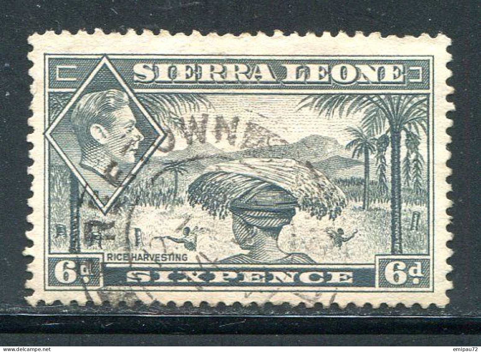 SIERRA LEONE- Y&T N°165- Oblitéré - Sierra Leona (...-1960)