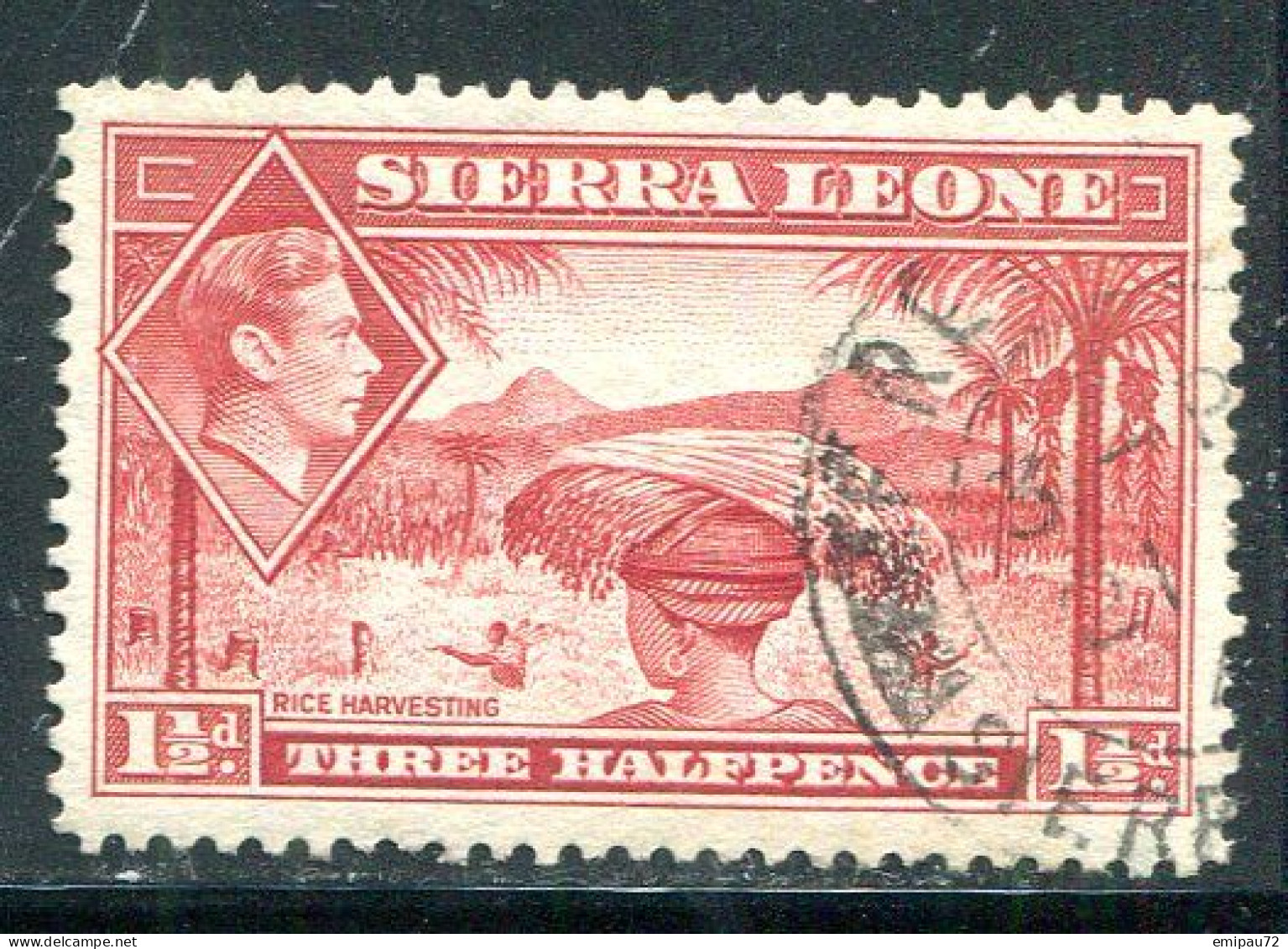 SIERRA LEONE- Y&T N°160- Oblitéré - Sierra Leona (...-1960)